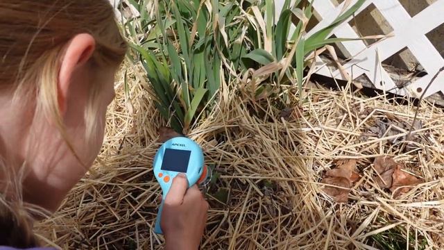 Do You See What I See? APEXEL MS201 Woodpecker Microscope for Kids смотреть онлайн