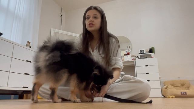 ПОДГОТОВКА К СВАДЕБНОЙ ЦЕРЕМОНИИ В КОРЕЕ! 💍 ЗАТРАТЫ НА ВСЕ смотреть онлайн