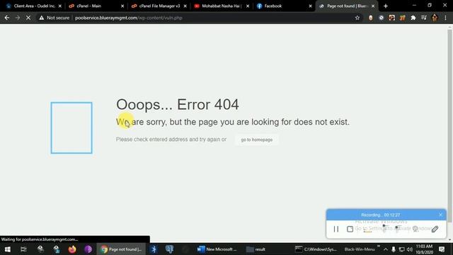 5.Hack Smtp , Wordpress Website Easy смотреть онлайн