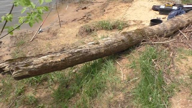 РЫБАЛКА НАЧАЛАСЬ ПЛОХО, А ПОТОМ КЛЁВ ПОШЁЛ! ЛОВЛЯ РЫБЫ НА ДОНКУ БЕЗ КОРМУШКИ. смотреть онлайн