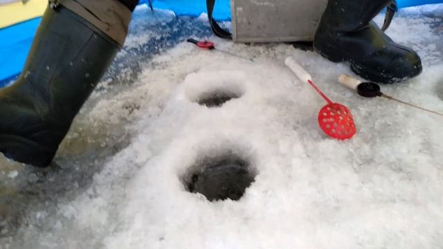 РЫБНАЯ КОРЯЖКА ГОРЬКОВСКОГО ВОДОХРАНИЛИЩА РЫБАЛКА НА ГОРЕ МОРЕ смотреть онлайн