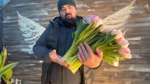 Сорт тюльпана foxtrot