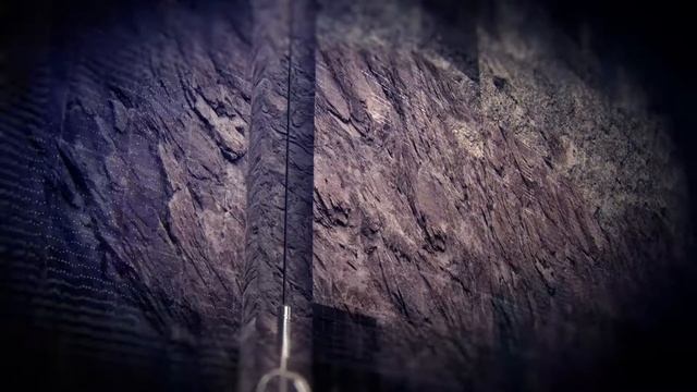 Геофизические комплексы ФГУП "ВНИИА" смотреть онлайн