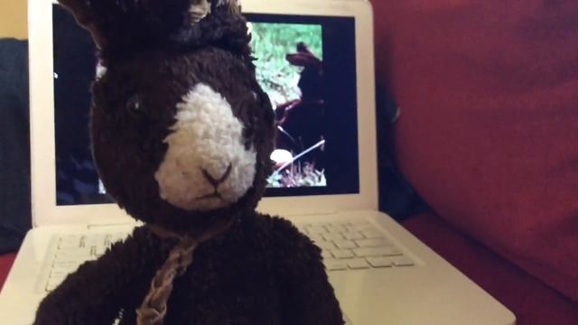 Subscribe to Rocket rabbit смотреть онлайн