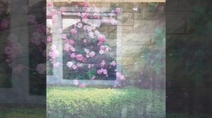 Декоративная фотосетка для забора. Используем не по сценарию!