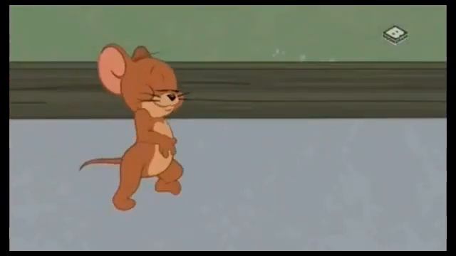 | ШОУ ТОМА И ДЖЕРРИ | КОТОГАРМОНИЯ | BOOMERANG | смотреть онлайн