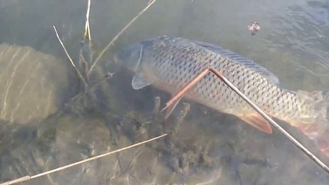 Весенняя рыбалка Астраханская обл.с.Житное 9 марта 2021 смотреть онлайн