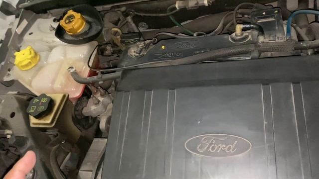 MUITO CUIDADO! DEVO COMPLETAR NÍVEL DO RADIADOR COM ÁGUA OU ADITIVO? FORD FIESTA KA ECOSPORT ZETEC!