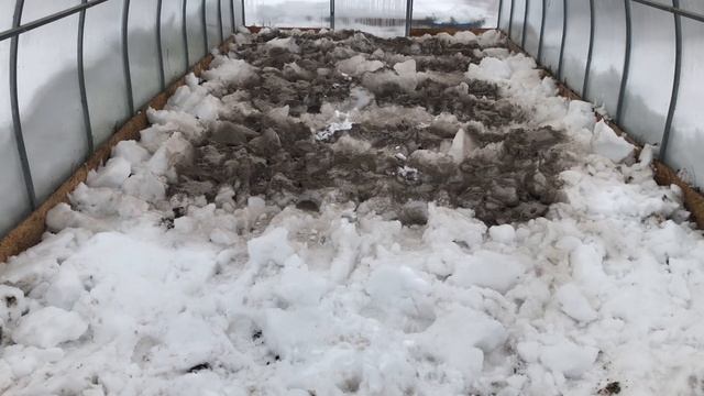 Снег+Зола-Залог богатого урожая! смотреть онлайн