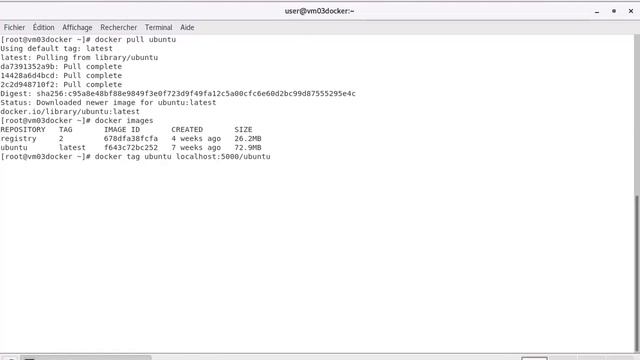Ateliers Pratiques Docker | [04] Travailler avec un registre Docker смотреть онлайн