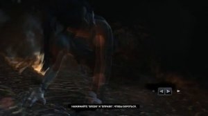 Tomb Raider (прохождение) - Как убить волка в пещере