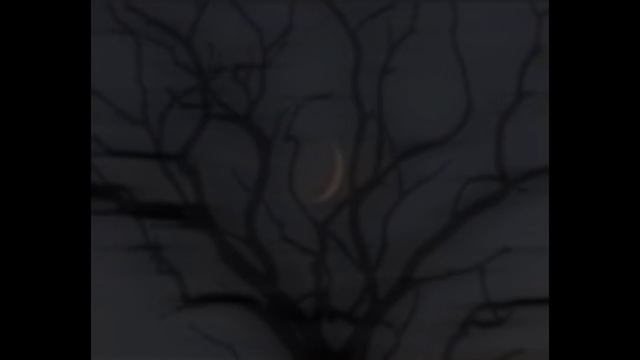 rosemary - deftones (sped up) смотреть онлайн