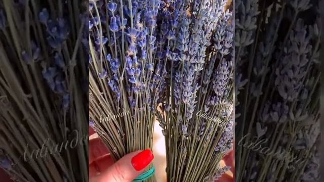 Строительные Материалы