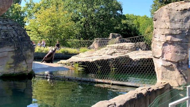 Германия. Карлсруэ. Зоопарк и ботанический сад