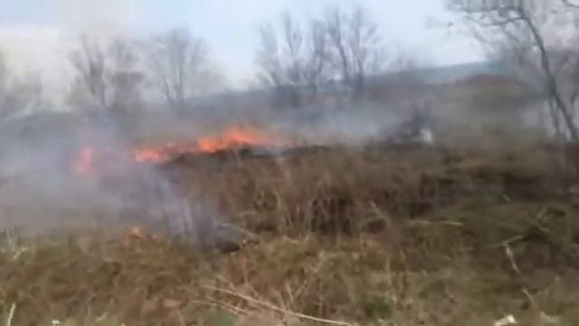 Поля горят в Анивском районе смотреть онлайн