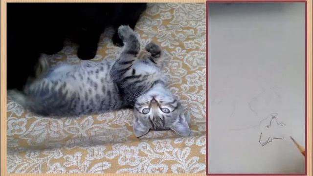 Урок с Вероникой Самусь. Наброски. смотреть онлайн