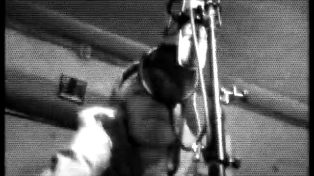 Висиди - в сторону бога 2010 .avi смотреть онлайн