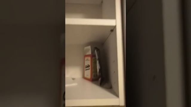 Обзор квартиры в аренду Новосибирск Блюхера 7