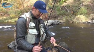 НАХЛЫСТ для начинающих: выбор мушки / FLYFISHING for beginners: choosing right fly