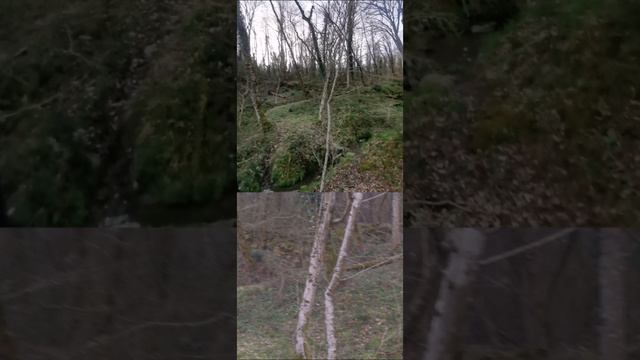 Walking on the forest. Ibiza Summer Mix 2021 Lounge Music 2021 Music Relax, Chill Out. #waterfall смотреть онлайн