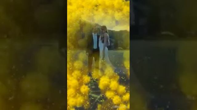 14 Марта - ДЕНЬ Мимозы. Мимоза – символ весны и женственности, радости и надежды. Shorts. смотреть онлайн