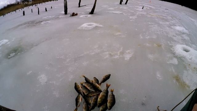 Зимний сезон закрыт! Рыбалка 1-2.04.2023г.