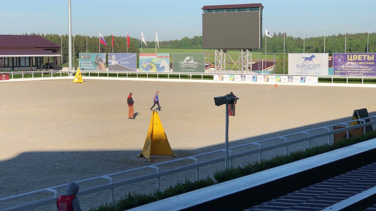 Чемпионат России по IGP 2021. Защита, Трэш.