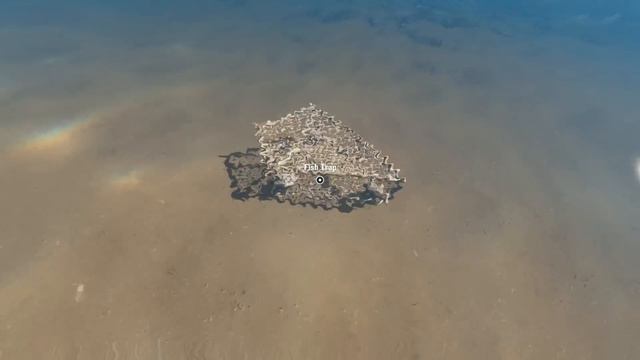 Stranded Deep - Обзор Обновления 0.03.H1 #9