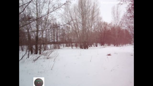 Паводок в Оренбургской области под контролем смотреть онлайн