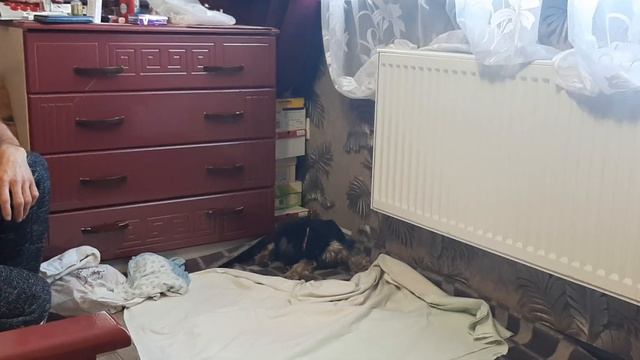 У нас первенец🥰 смотреть онлайн