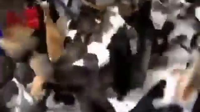 Сильная и независимая женщина смотреть онлайн