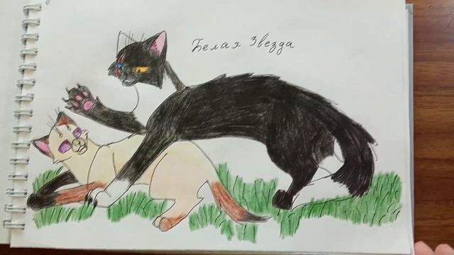 Мои рисунки | Обзор скетчбука №6 | Мои персонажи | Заказы | Wildcraft | Фурри | Поняши | #67 смотреть онлайн