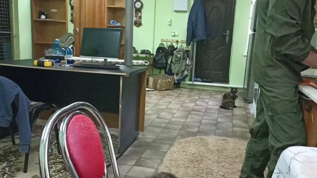 ПЕРЕЕЗД НА ЮГ/Заболели/Лечебный РЮКЗАЧОК, что в нём? смотреть онлайн