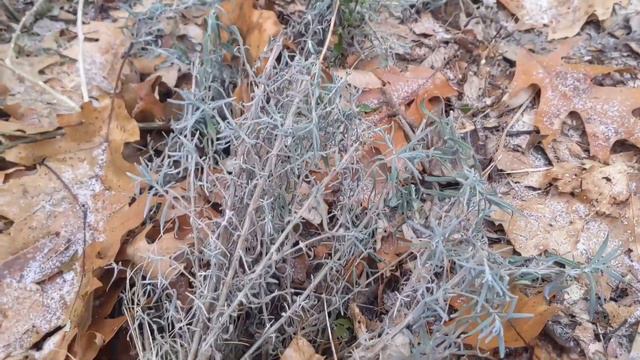 Learning from mistakes - lavender edition смотреть онлайн