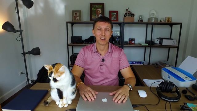 💥 4000 ПОДПИСЧИКОВ!!! Что будет с каналом? Новости и BONUS - котейка 😺. Сергей Шаляпин смотреть онлайн