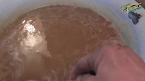 Как приготовить канди для пчел