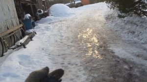 Как восстановить ? Легко  Шестерню z-54 На Снегоходе Рысь 440, Ремонт Кпп