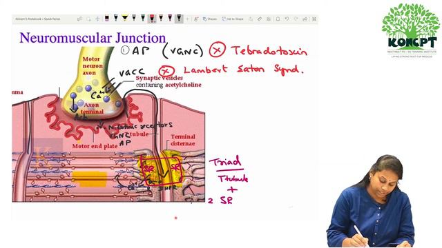 NEXT / EXIT Exam / NEET PG Physiology - Test & Discussion смотреть онлайн