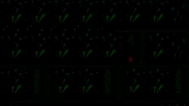 Cruel World (1993) Level 14 смотреть онлайн