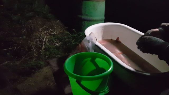 Обалденные копченые ОКУНИ в бочке коптилке смотреть онлайн