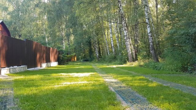 На краю леса пение птиц смотреть онлайн