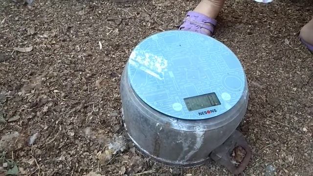 Цыплята Редбро 6 недель контрольное взвешивание смотреть онлайн