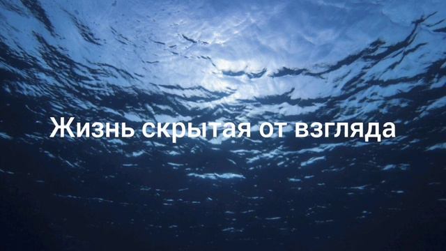 Бездна Бездну призывает.