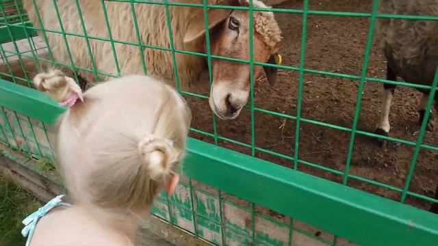 конный парк РУСЬ . Семейный ВЛОГ . КОНТАКТНЫЙ ЗООПАРК . PONY . ВВВЛОГ смотреть онлайн