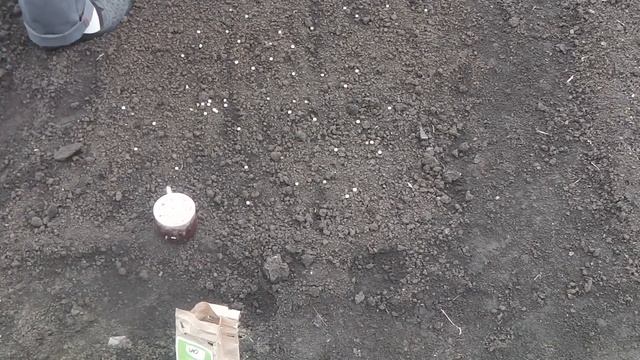 КАК ПРИГОТОВИТЬ ГРЯДКУ ДЛЯ ПОСАДКИ ЗЕМЛЯНИКИ (КЛУБНИКИ) С ПОМОЩЬЮ СИДЕРАТОВ смотреть онлайн