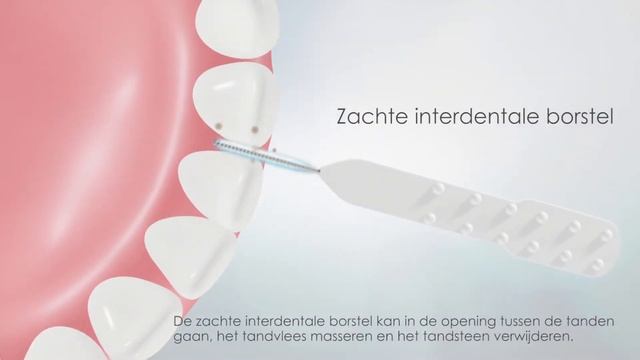 Oral-in-One / Floss-Pick-Brush (Dutch) смотреть онлайн