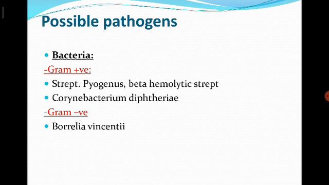 12- LAB - Dr. Mohamed Mustafa [Applied Bacteriology] смотреть онлайн