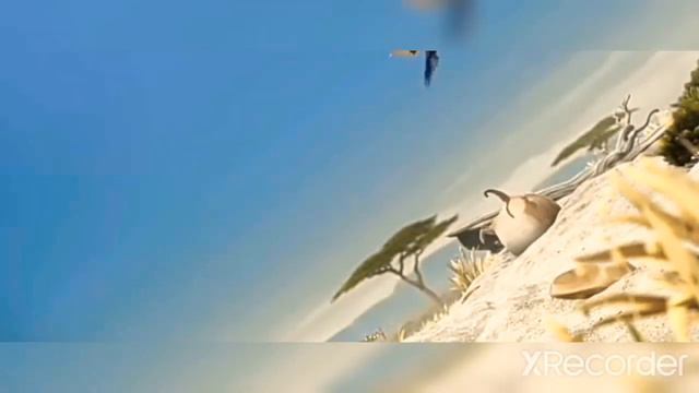 Смешные толстые животные смотреть онлайн