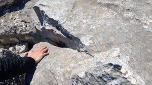 РОЖДЕНИЕ САРКОФАГА-3: Царь горы (Термессос)