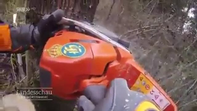вертолеты и арбористы смотреть онлайн